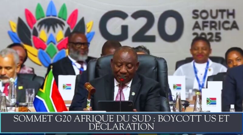 sommet G20 Afrique du Sud