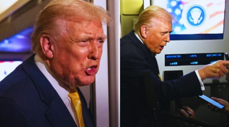 trump insulte journaliste