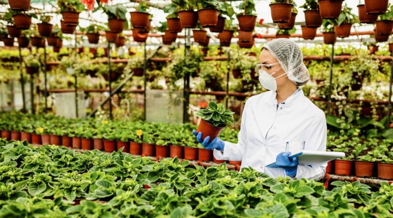 agritech innovation alimentaire mise à l'échelle en France