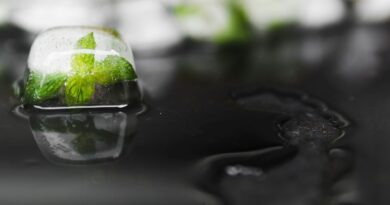 adaptation climatique eau belgique 2026