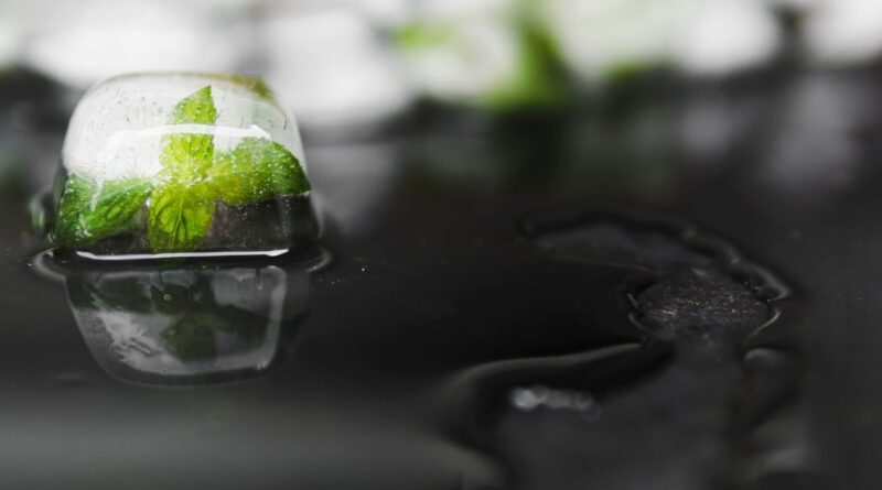 adaptation climatique eau belgique 2026