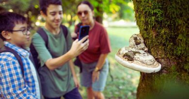 pionniers de la santé numérique en France