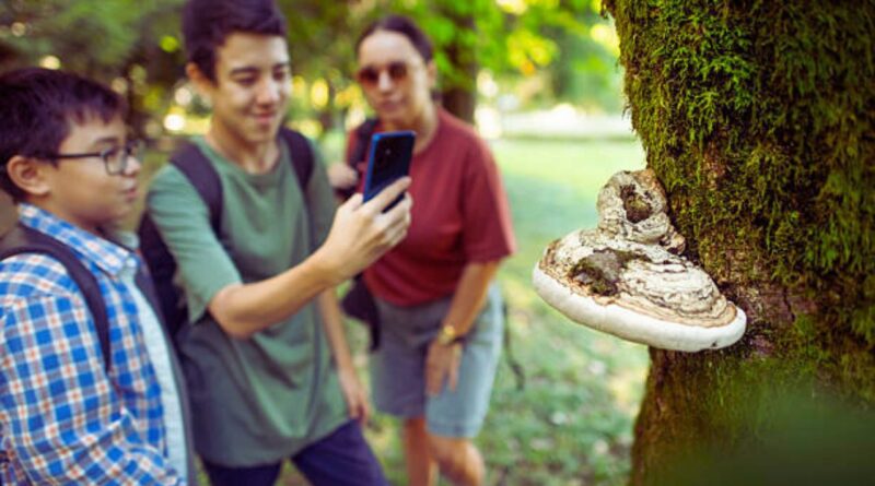 pionniers de la santé numérique en France