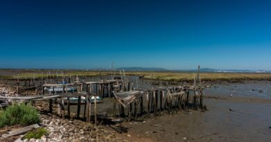 adaptation changement climatique technologies eau mali