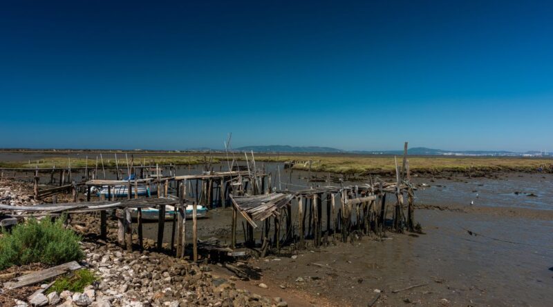 adaptation changement climatique technologies eau mali