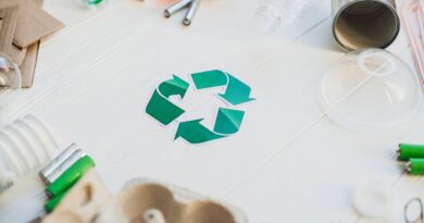 économie circulaire et recyclage en France