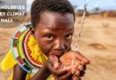 Technologies Eau et Climat Mali