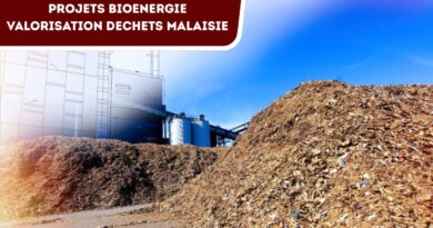 projets bioenergie valorisation dechets malaisie