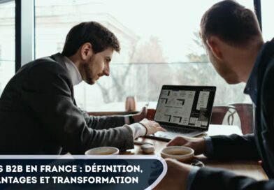 SaaS B2B en France