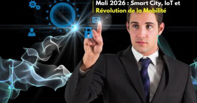 transformation-du-mali-en-2026