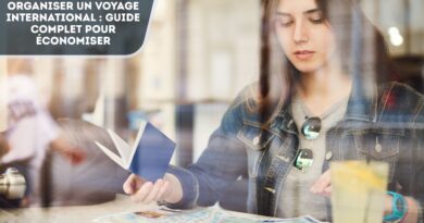 Organiser un voyage international
