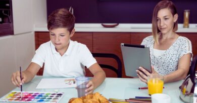 Minecraft comme outil d'apprentissage