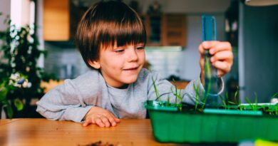 jeux STEM pour enfants