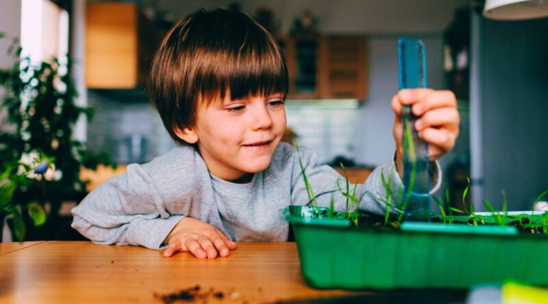 jeux STEM pour enfants