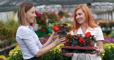 Croissance organique B2C France