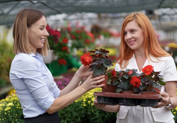 Croissance organique B2C France