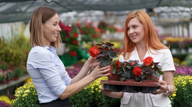 Croissance organique B2C France