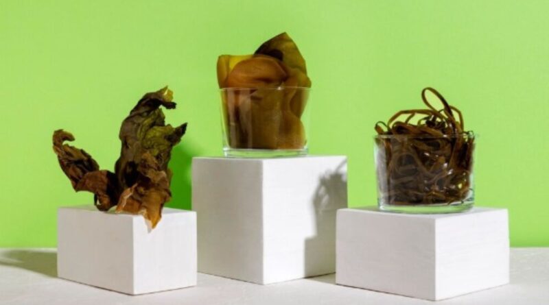 matériaux durables du futur