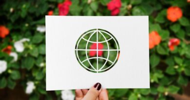 greenwashing produits écologiques