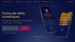 BrandCrowd (Meilleur pour des designs visuels de haute qualité)
