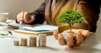 développer une PME en France
