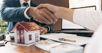 immobilier de luxe en France
