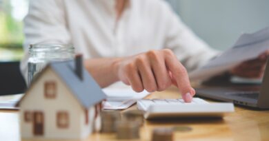 investissement locatif en France