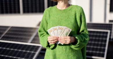 Panneaux solaires en France
